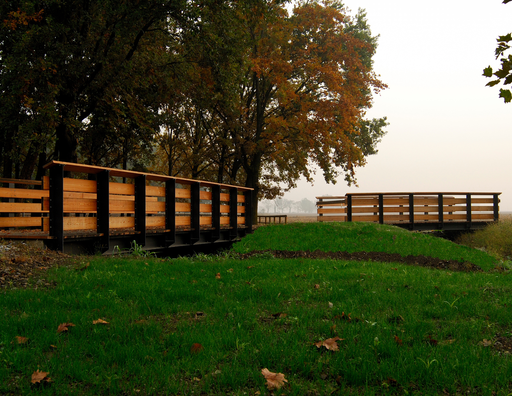 ponte ponti parco area naturalistica Caravaggio Oasi Naturalistica di Brancaleone metallo legno fabrizio guccione architetto architetti Fgsa studio di architettura Bridge Bridges natural oasis naturalistic Park Brancaleone metal wood Fabrizio Guccione FGSA architect architects of Architecture