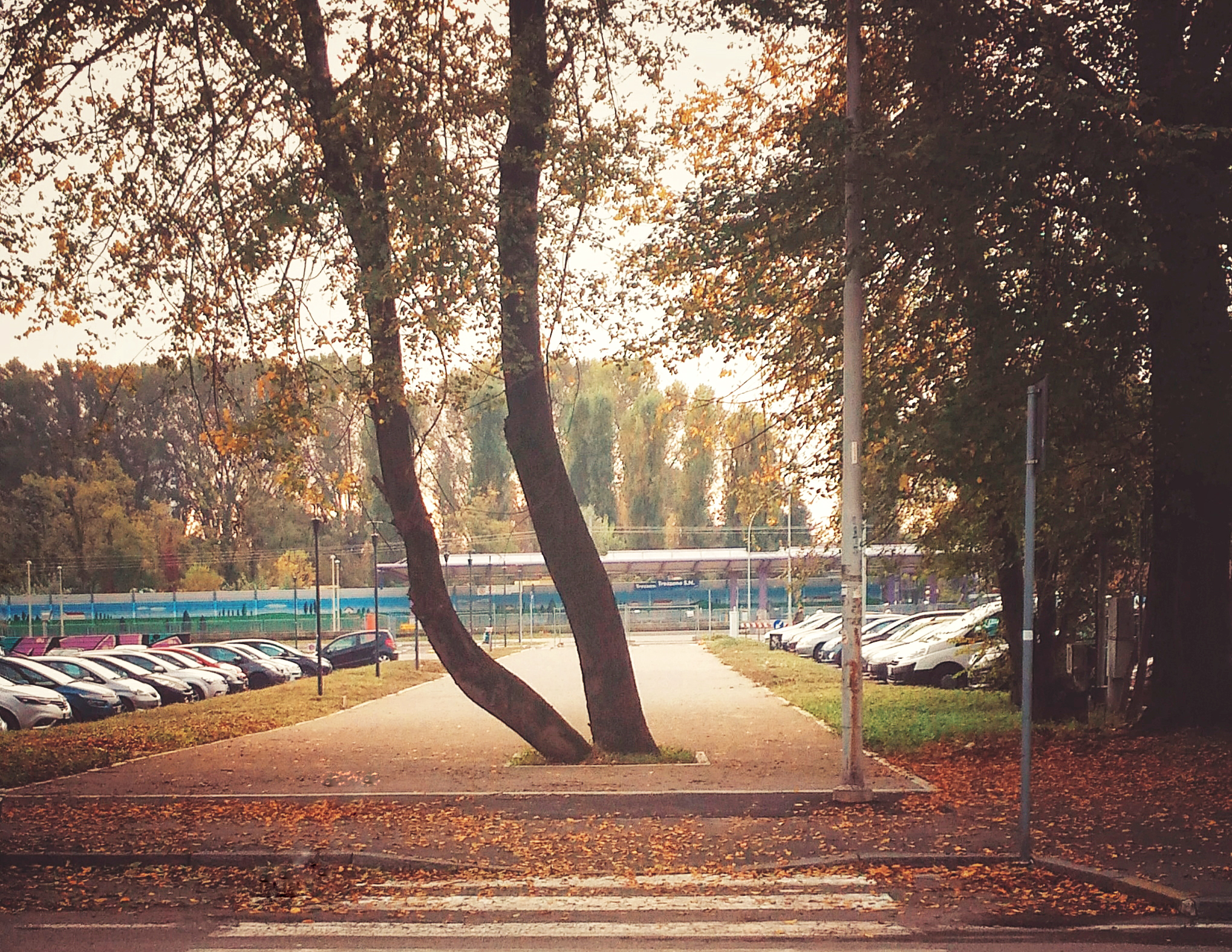 FG SA studio di architettura Fabrizio Guccione Architetto Trezzano sul Naviglio parco percorso in calcestre parco lineare boulevard milano