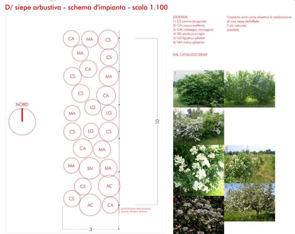 orti urbani fgsa studio architettura milano decrescita felice fabrizio guccione landscape micol terzaghi